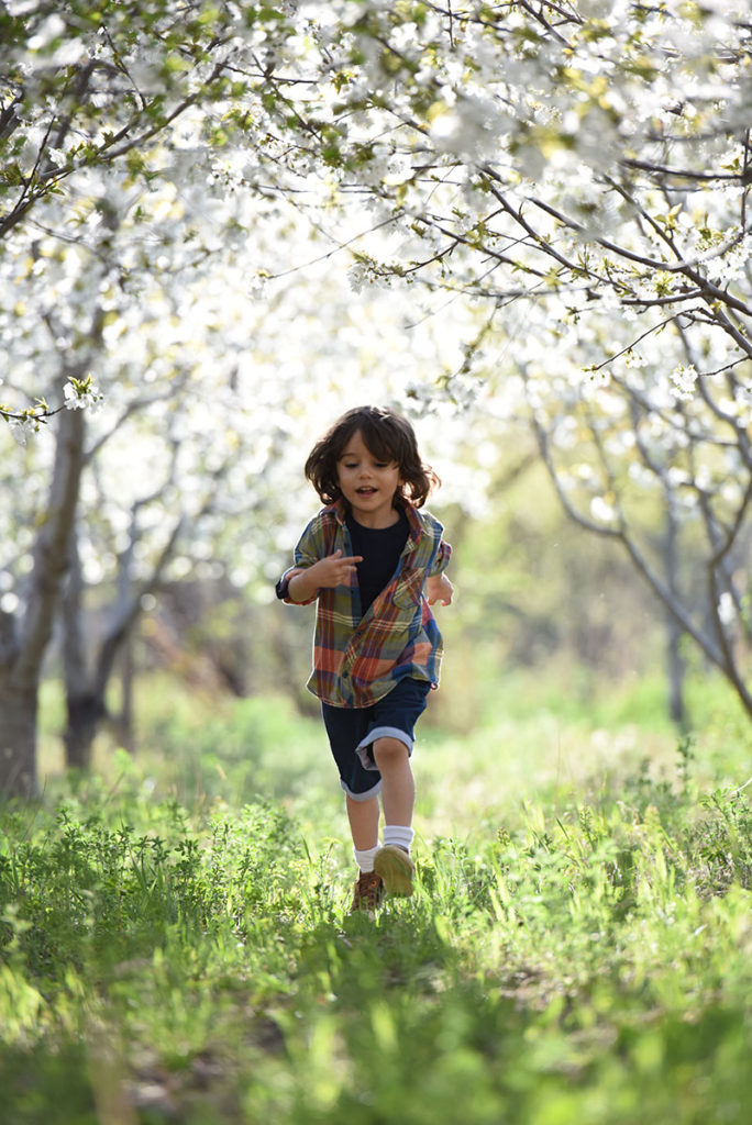 Adhd testing evaluations clarity psychology